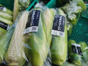 2021 夏のとうもろこし販売開始いたします！